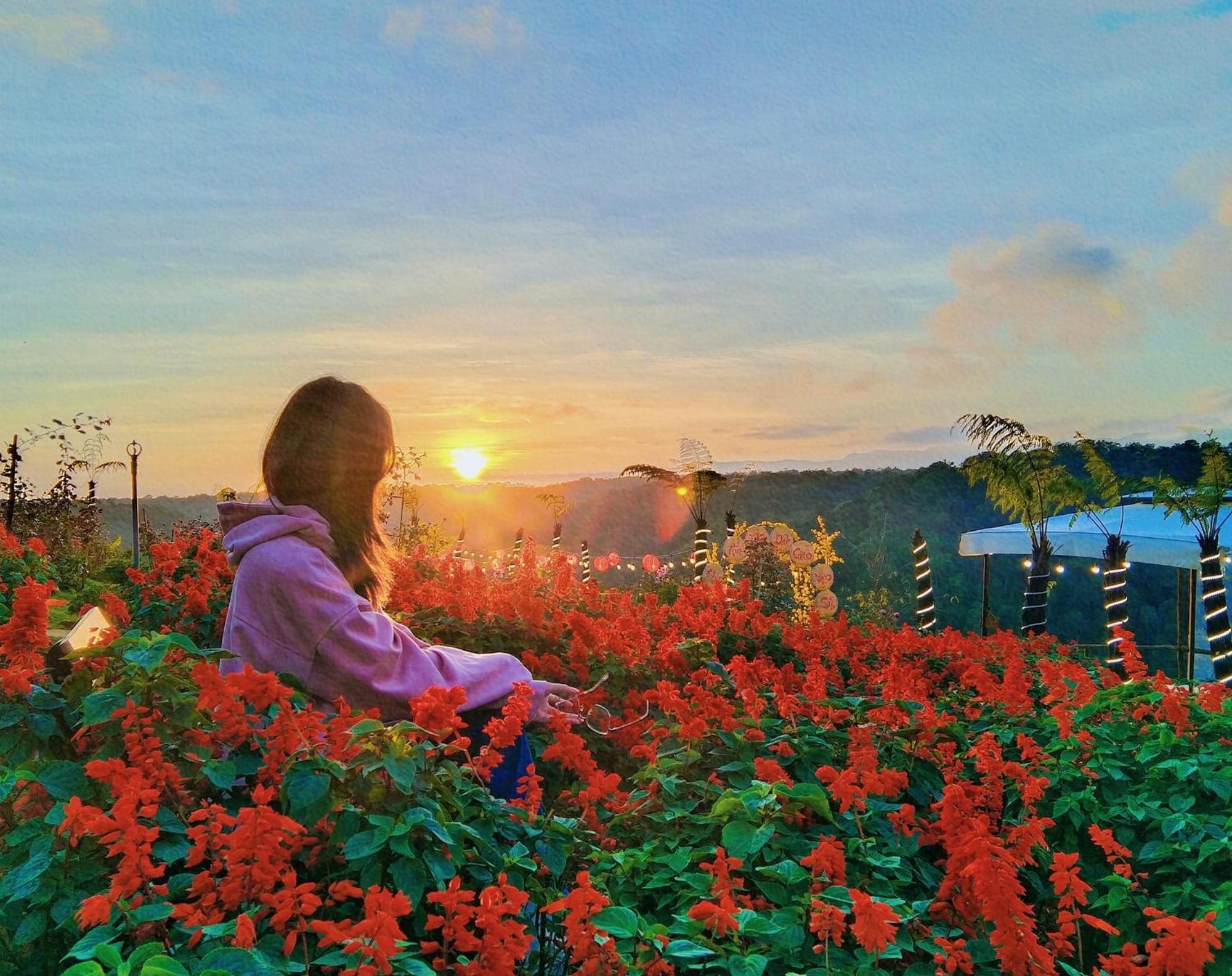 Glamping - Viet Uc Flower Garden Hotel Kon Von Kla Buitenkant foto